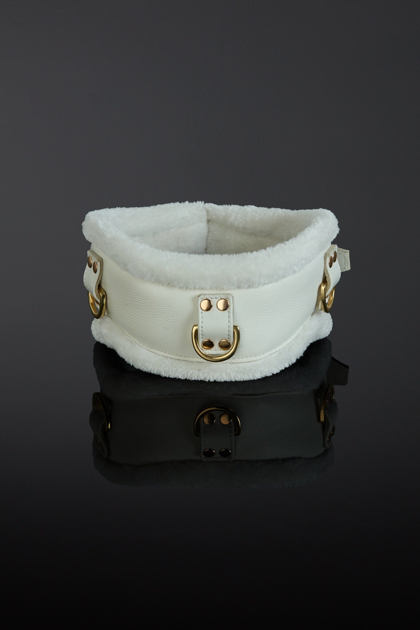 Althea Leather Posture Collar - High