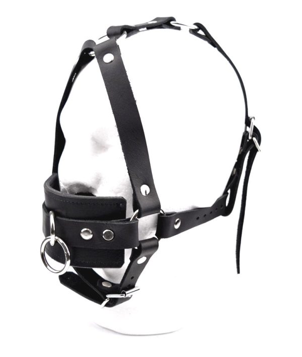 Black Premium Panel Ball Gag Head Harness