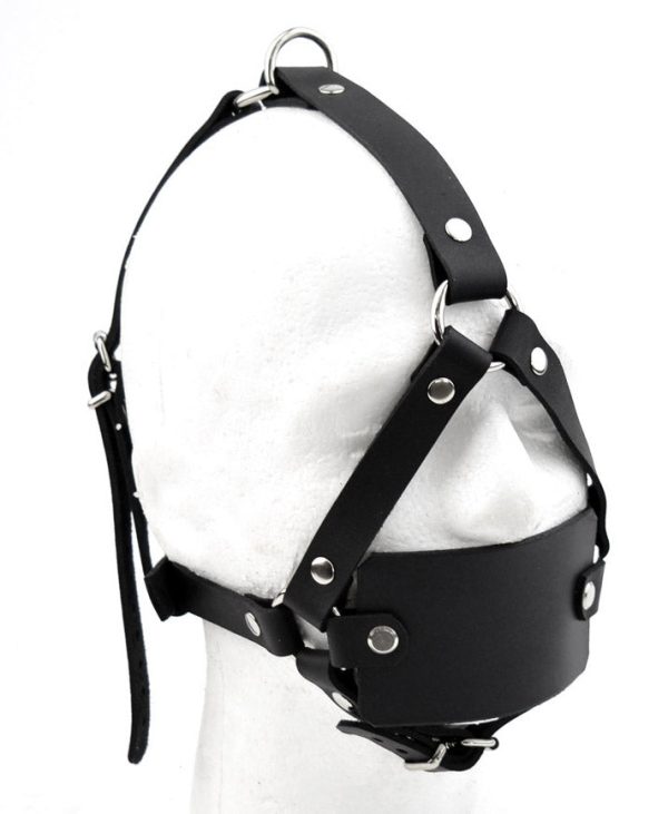 Leather Flat Panel Gag Head Harness - Black