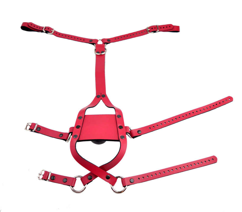 Strict Panel Trainer Cross Straps Gag - Deep Pink
